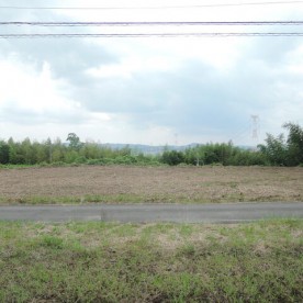 玉川保育園の写真2