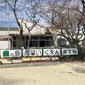 亀岡市立森の自然こども園東本梅の写真1
