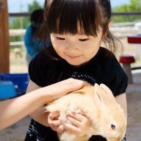 小規模保育事業　やまざき乳児園（みつば）