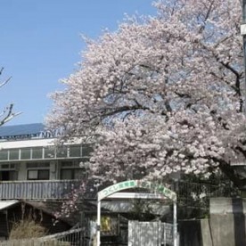 つくし保育園の写真2