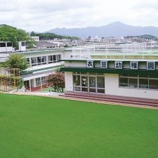 衣笠幼稚園