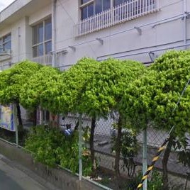 伏見住吉幼稚園