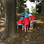 わんぱくすまいる保育園の写真4