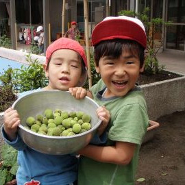 中青戸保育園の写真3