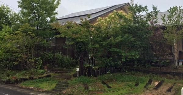 倉岡幼稚園