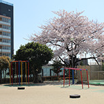 春日町第三保育園の写真5