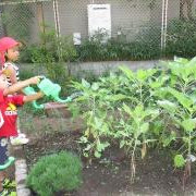 下石神井第三保育園の写真4