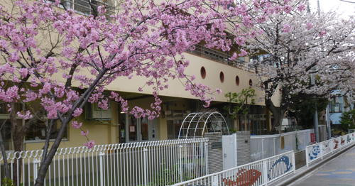 西池袋第二保育園