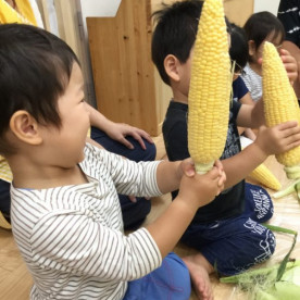にじいろ保育園高田馬場東の写真2