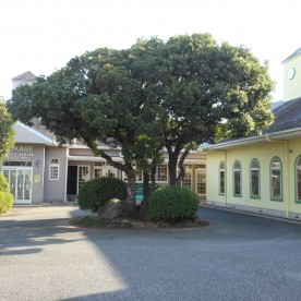 えほんの森幼稚園