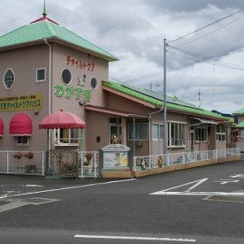 わかすぎ保育園の写真2