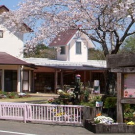 石井記念ひかり保育園の写真1
