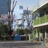 志村橋保育園