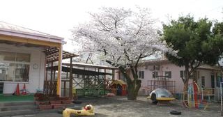 認定こども園　延岡望幼稚園
