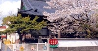 わか葉幼稚園