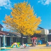 認定こども園日章