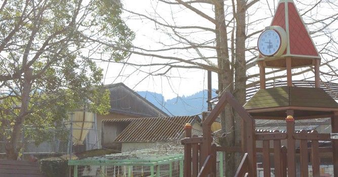 ひかりの森こども園