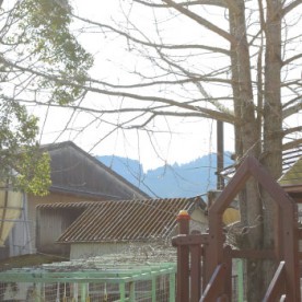 ひかりの森こども園の写真3