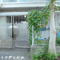 保育園うさぎとかめ（本園）