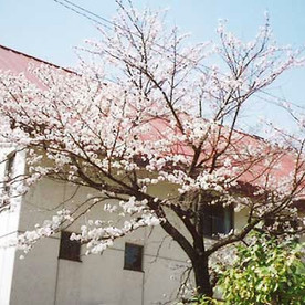 見附天使幼稚園