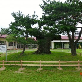 八幡保育園