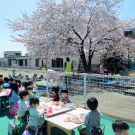 大山保育園の写真3