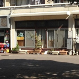 陽だまり保育園