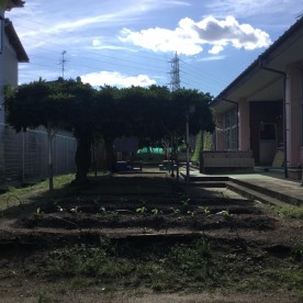牡丹山幼稚園の写真2