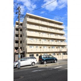 沼垂保育園の写真3