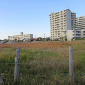 曽野木保育園