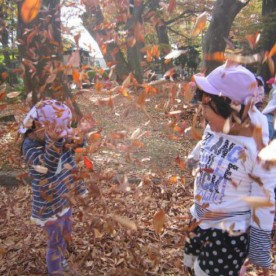 幼保連携型認定こども園くろじょうこども園