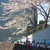 ほっぺるランド勝どきの写真4