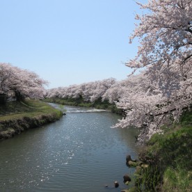 ならやま認定こども園