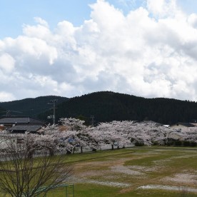石沢保育園