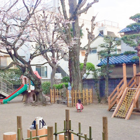 共生保育園（本園）