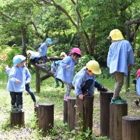 名瀬幼稚園の写真2