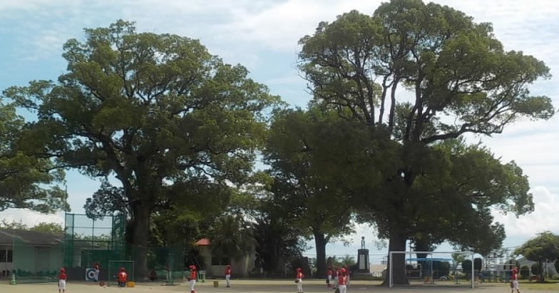 中名保育園