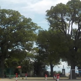 中名保育園の写真1