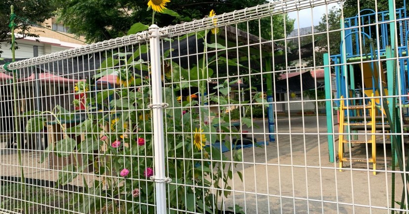原良保育園