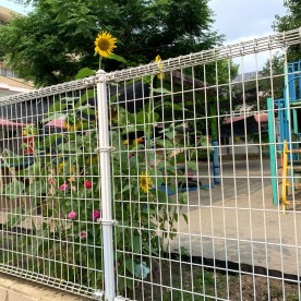 原良保育園の写真2