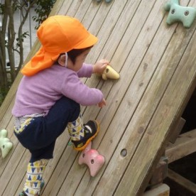 幼保連携型認定こども園しらゆきこども園