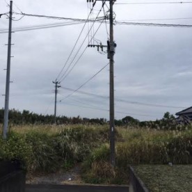 みどり幼稚園