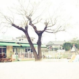 尾下保育園の写真1