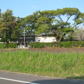 さゆり保育園