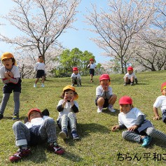 ちらん平和こども園の写真3