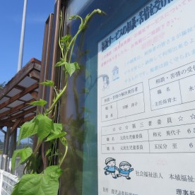 国見保育園