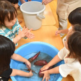 京王キッズプラッツ烏山の写真2