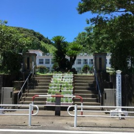 中津川保育園の写真1