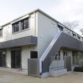 にじのいるか保育園　杉並松の木
