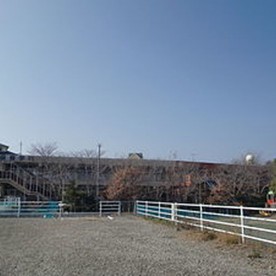 神村学園附属幼稚園